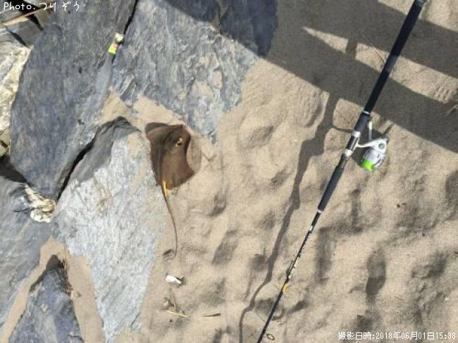 ���ƥ��󥰥쥤