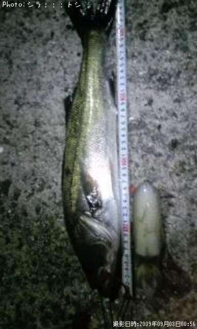 ��������������