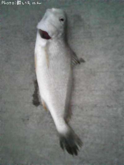 �������λ�