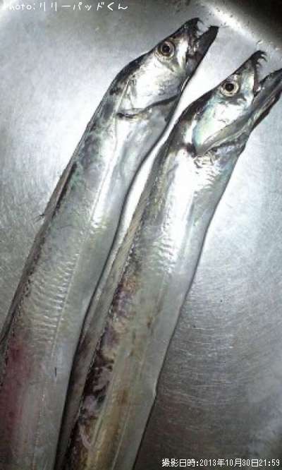 ���å�����