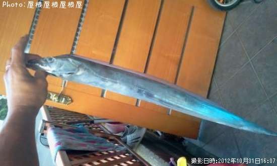 ��������������