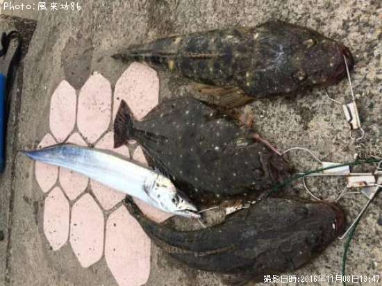 �����������ҥ����ޥ���