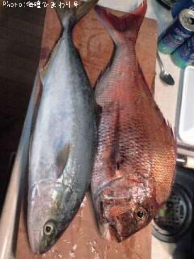 �������ϥޥ�