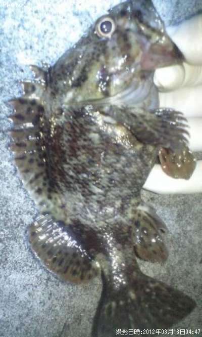 �����ĵ����ҥ�Х����