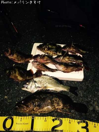 �����Υ����̥�����