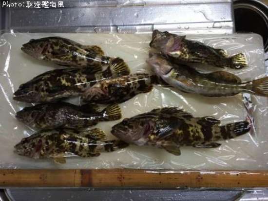 �����Υ�����Х�������ʥ�