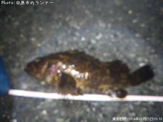 �����Υ���Х����Х�