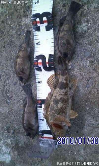 �����Υ���Х�ȥ�Х�