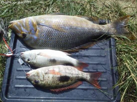 ���ޥ󡦥ե��ե�