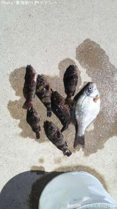 ���ʥ��������顦�����ʥ�