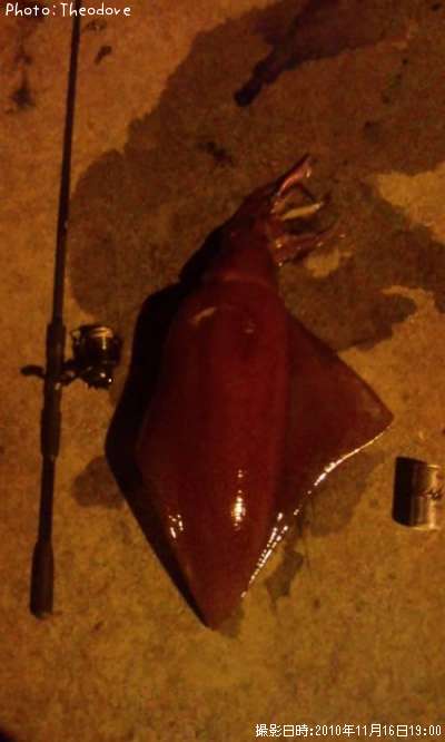 ����饤���ʥ��ǥ�����