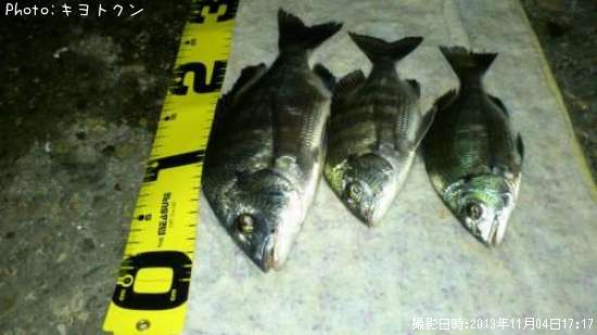 ���Ťȥ���