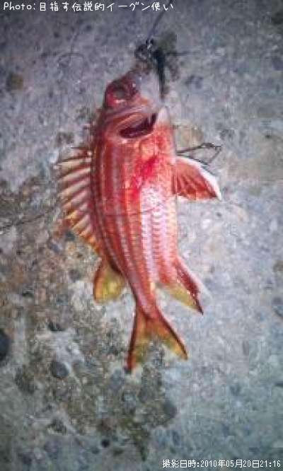 �ȥ��ꥨ�ӥ�