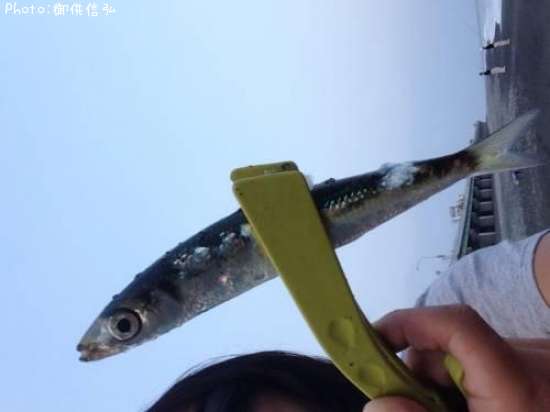 �ȥ������������亮