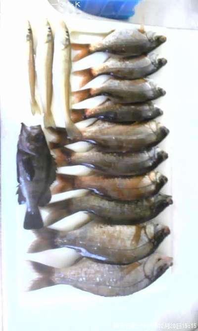 ���ߥ��ʥ�