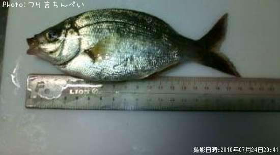 ���ߥ��ʥ�