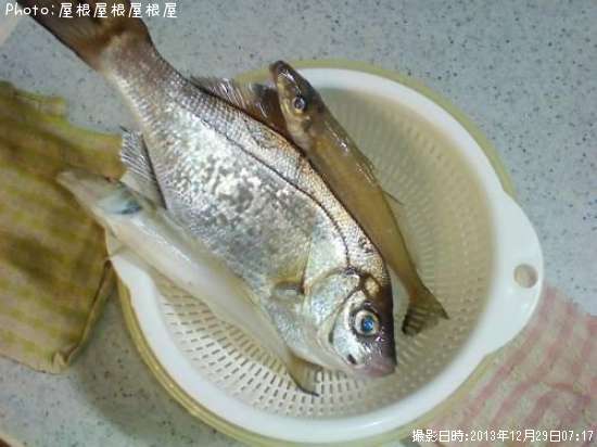 ���ߥ��ʥ�������