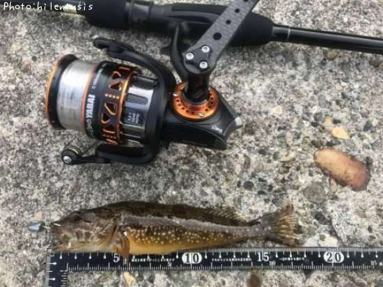 �狼��ޤ���