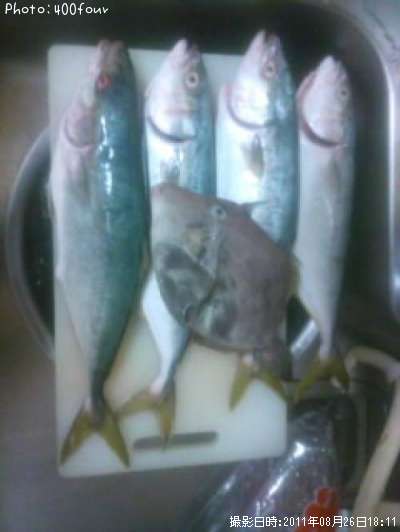 �狼���ȥ���ϥ���