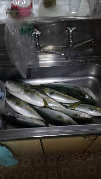 ��饵�ȥ����