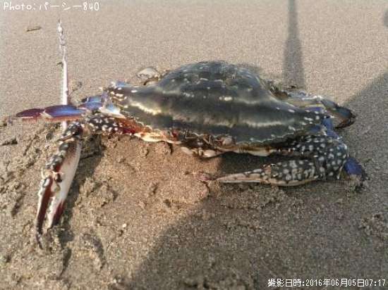 �勵�ꥬ�ˡ��ޥ���