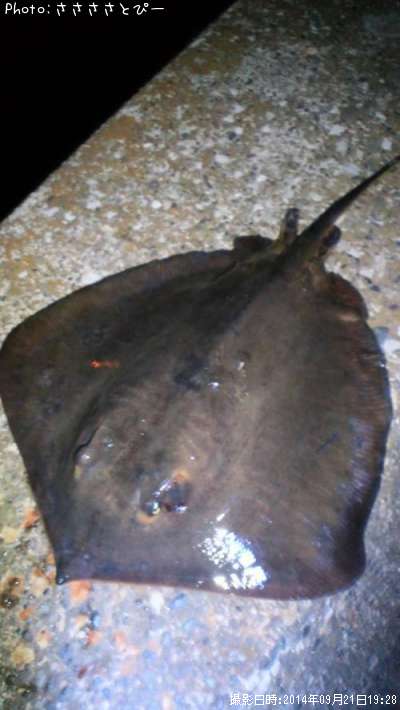 ��ä��ޤä�����