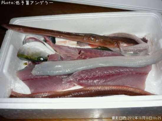 �䥬�顦���ʥ�