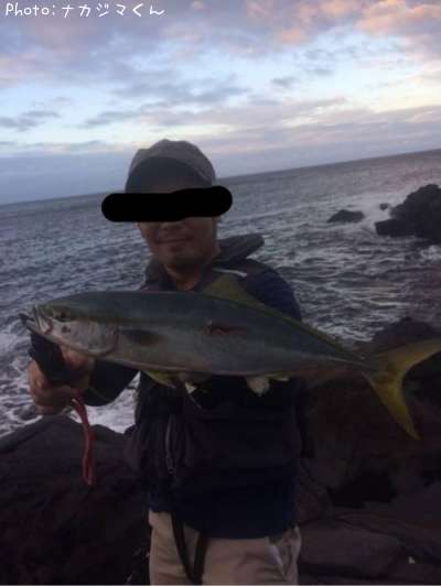 �䥺��������