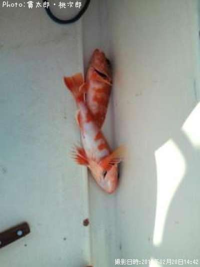 ��ᥫ����