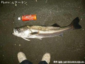 �����Х�