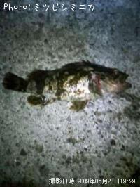 �����Υ���Х�