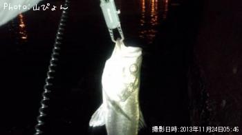 �����Х�