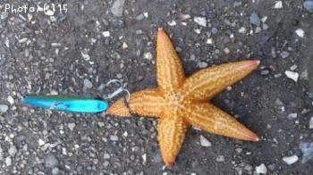 ����������ȥ��ˡ�