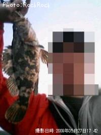 ¥Ù¥Ã¥³¥¦¥½¥¤