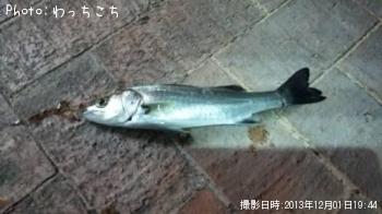 �����Х�