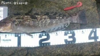 �����ʥ�