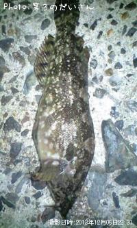 �����ʥ�