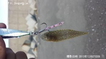 ¤¦¤·¤Î¤·¤¿¡©