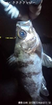 ��Х�������Х�