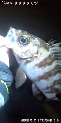 ��Х�������Х�