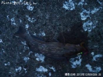 �����ʥ�