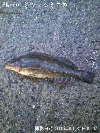 �����ʥ�