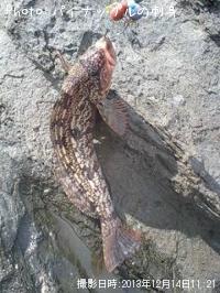 �����ʥ�