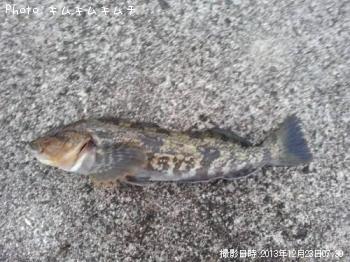 �����ʥ�