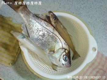 ¥¦¥ß¥¿¥Ê¥´¡õ¥¥¹