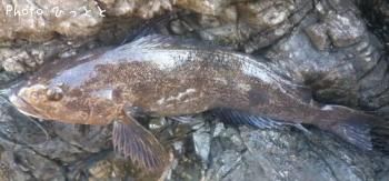 �����ʥ�