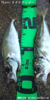 ���������ޥ�