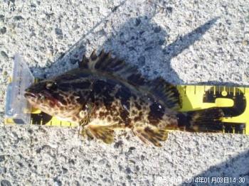 �����Υ���Х�