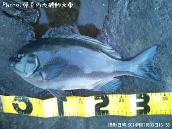 ¸ýÂÀ¥á¥¸¥Ê