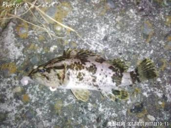 �����Υ���Х�